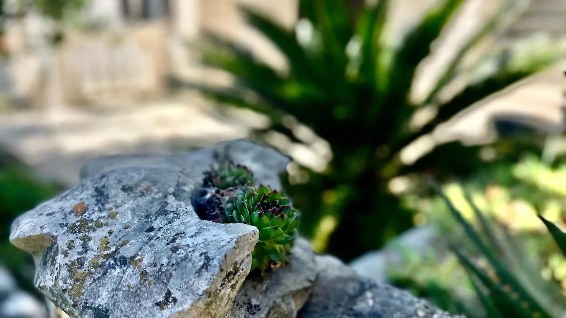 Apartmán Balcon Del Mar Dramalj